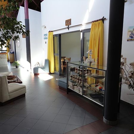Hotel Lujan Lujan  Dış mekan fotoğraf